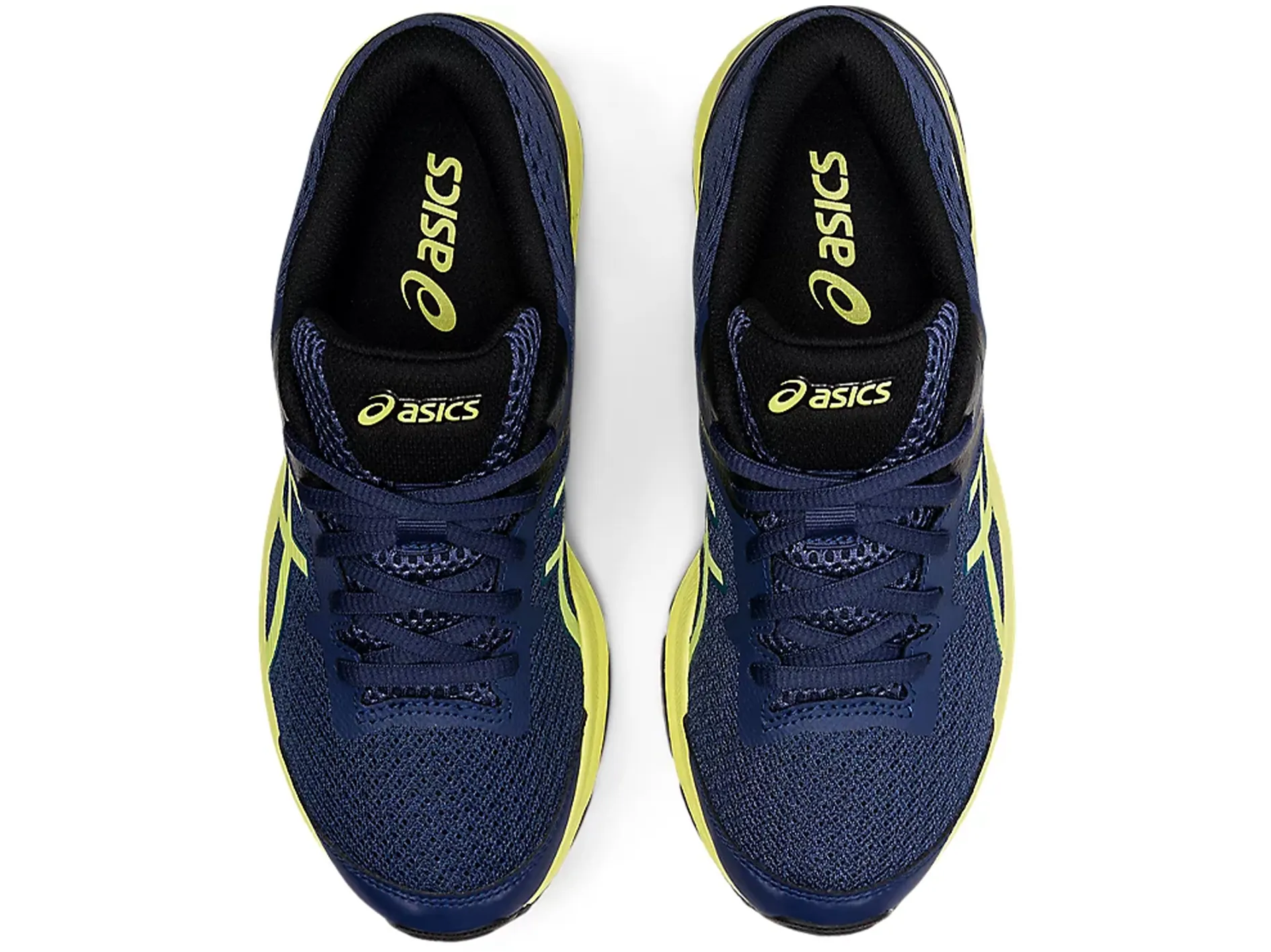 Asics Junior GT-1000 10 GS <BR> 1014A189 409