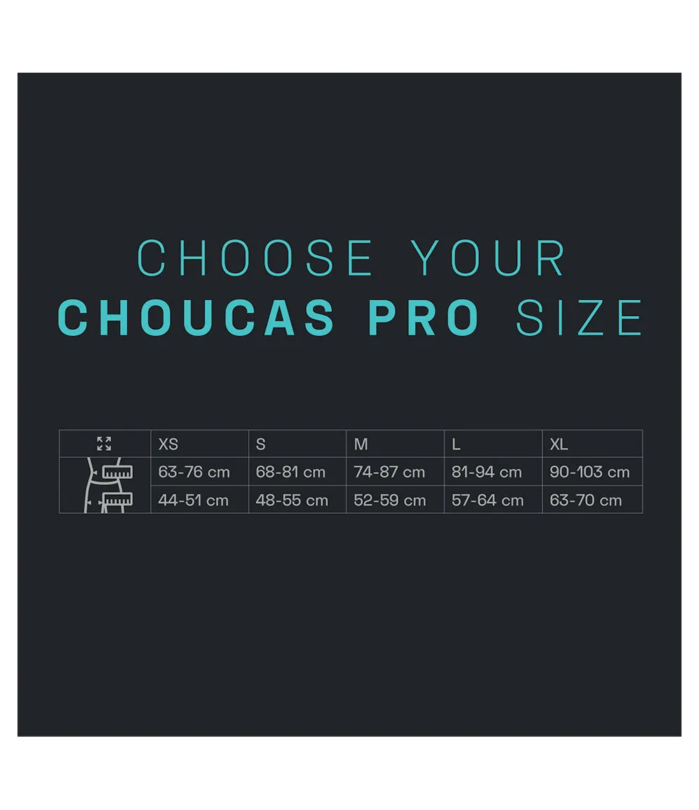 Choucas Pro Harness