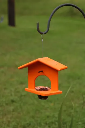 Hanging Oriole Jelly and Orange Bird Feeder, Eco-Friendly Poly Lumber