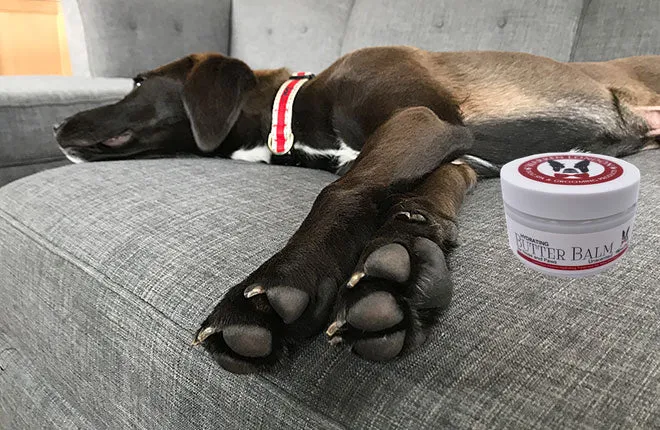 Hydrating Butter Balm - For Nose and Paws