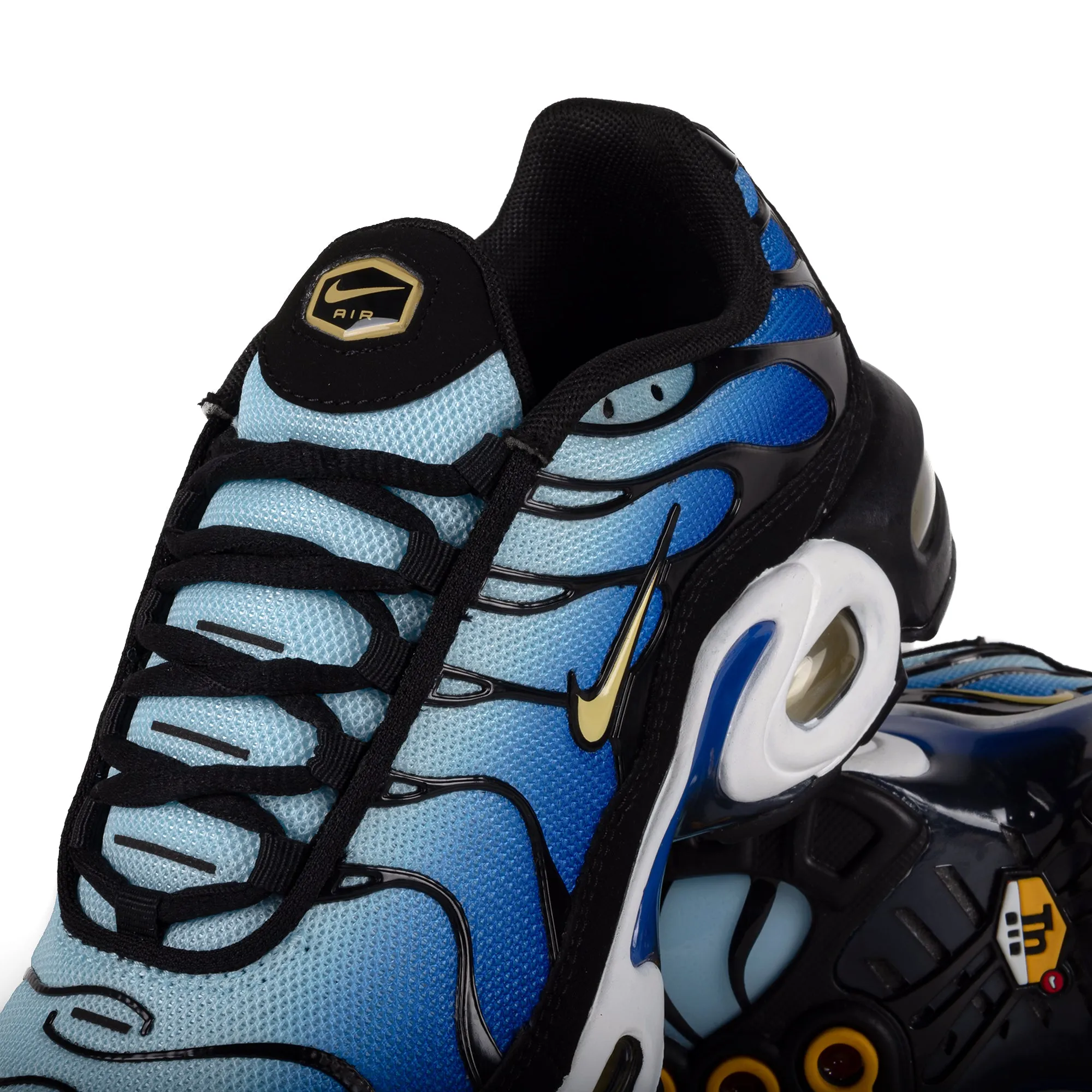 Nike Air Max Plus (GS) Black/Chamois/Sky Blue/Hyper Blue CD0609-032