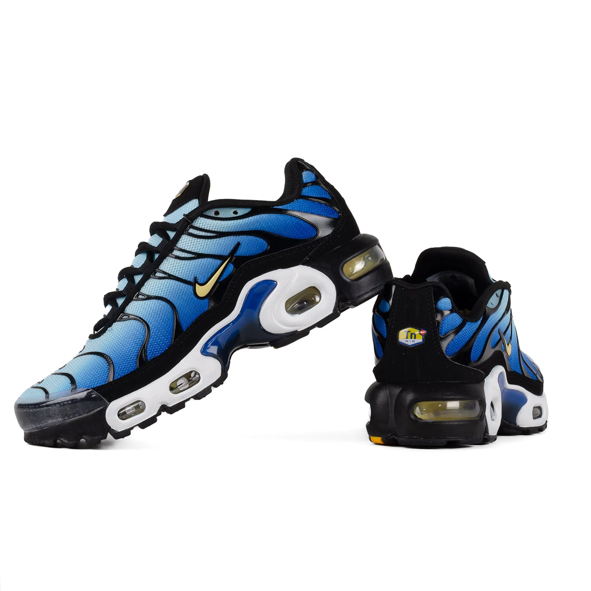 Nike Air Max Plus (GS) Black/Chamois/Sky Blue/Hyper Blue CD0609-032