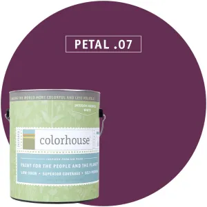 Paint by Colorhouse PETAL .07