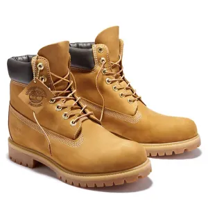 PREMIUM 6 INCH BOOT FOR MEN IN YELLOW